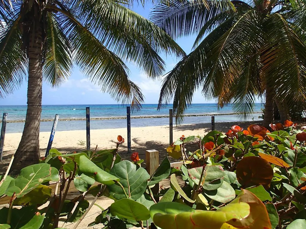 Aparthotel Ababor Suites Guesthouse Vieques